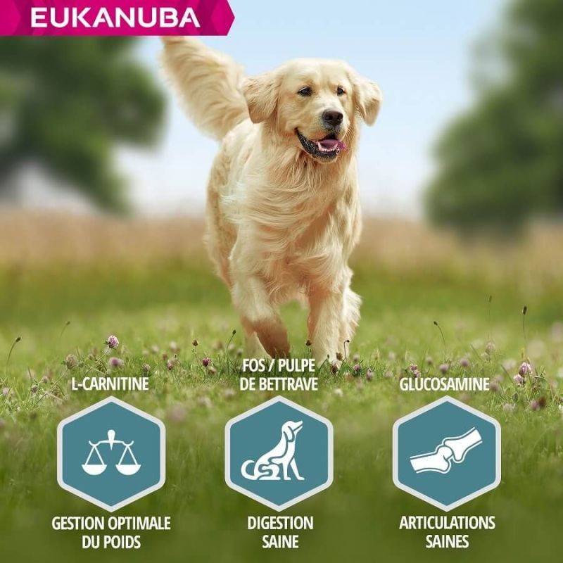 Eukanuba - CROQUETTES CHIEN ADULT LARGE AGNEAU - EUKANUBA 12 kg - Imagen 4