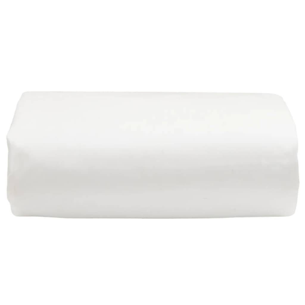Bache  Dario Vert  1,5 X 6  - P87211V - Image 2