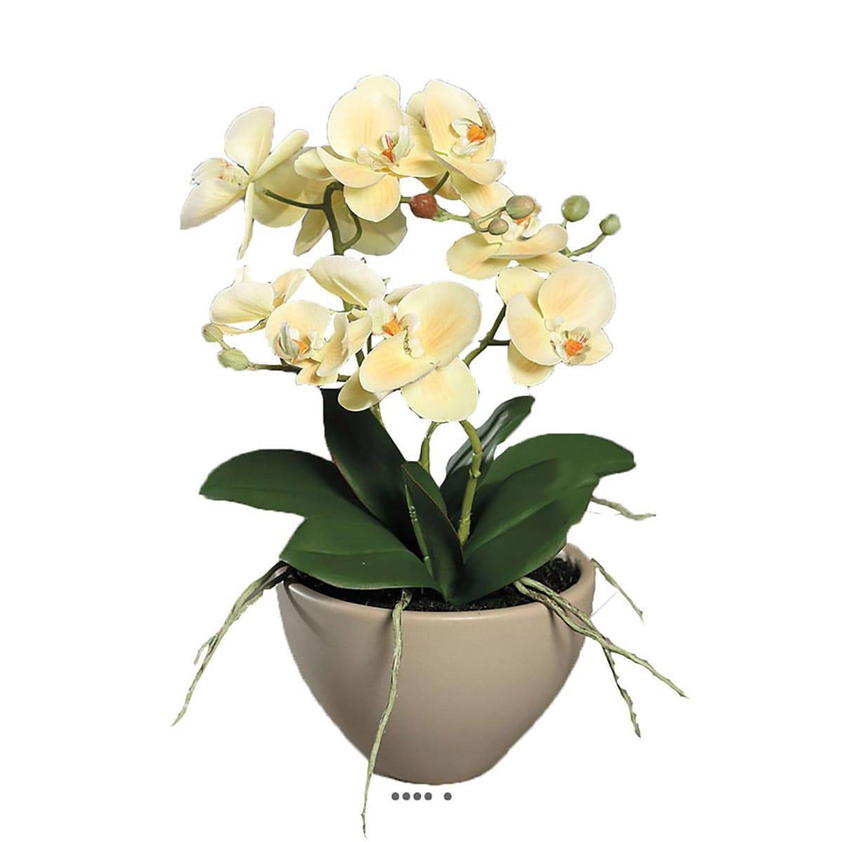 Artificielles - Fausse orchidée en pot céramique H 35 cm adorable Crème vert - couleur: Crème vert - Imagen 2