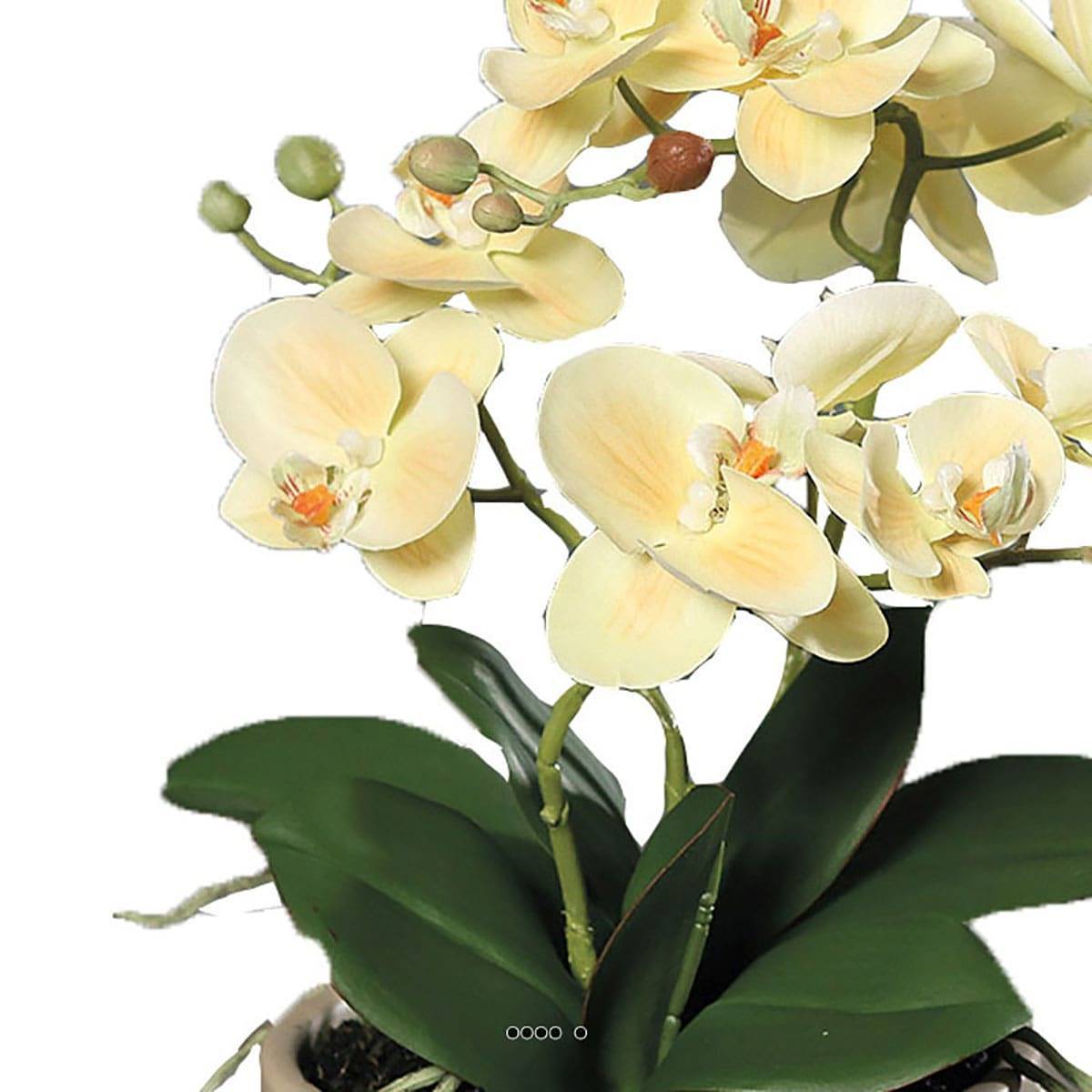 Artificielles - Fausse orchidée en pot céramique H 35 cm adorable Crème vert - couleur: Crème vert - Imagen 3