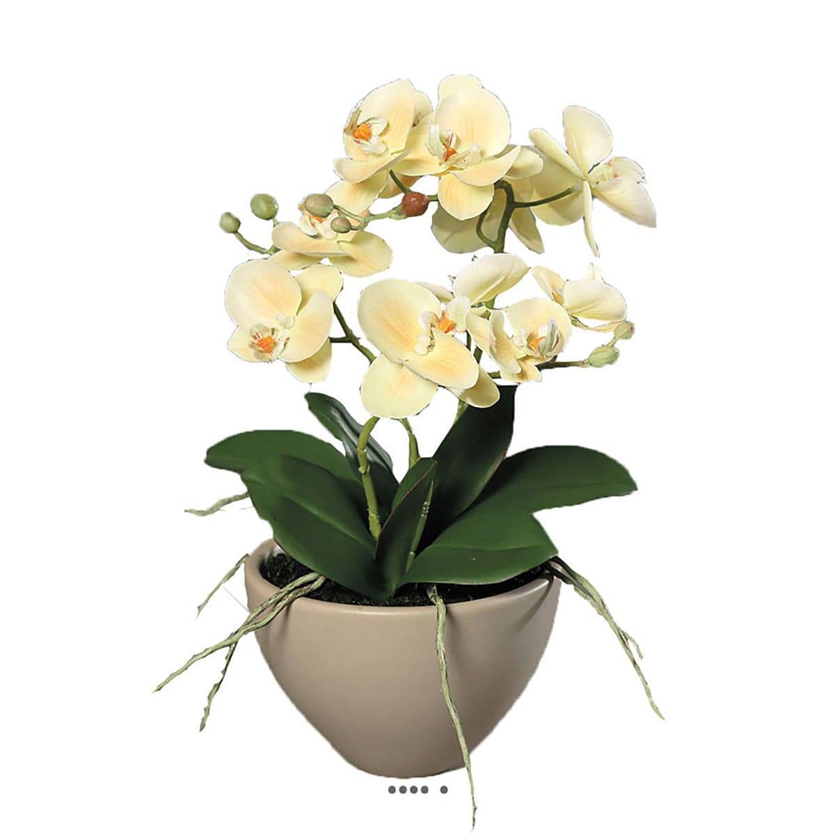 Artificielles - Fausse orchidée en pot céramique H 35 cm adorable Crème vert - couleur: Crème vert - Imagen 1