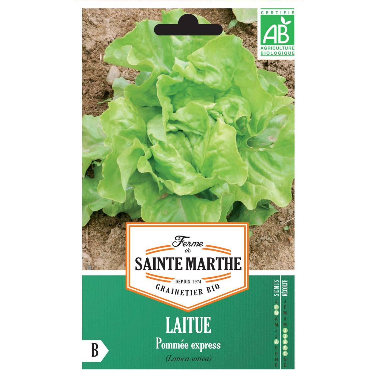 Laitue pommée Express Bio - Ferme de Sainthe Marthe le sachet de 500 graines environ