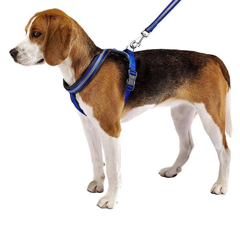 Ferplast - Harnais pour Chiens Taille Moyenne DAYTONA CROSS M, Réfléchissant, Rembourrée, avec Boucle Magnétique - Imagen 3