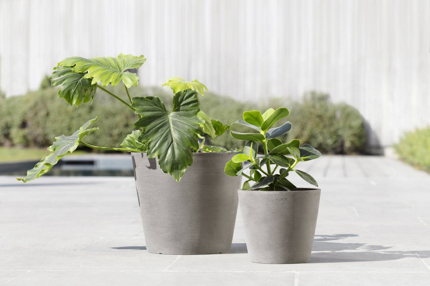 Ecopots - Pot Rond Amsterdam 20 Taupe - Ø 20 x H. 17,5 cm - 4 L ECOPOTS - Imagen 5