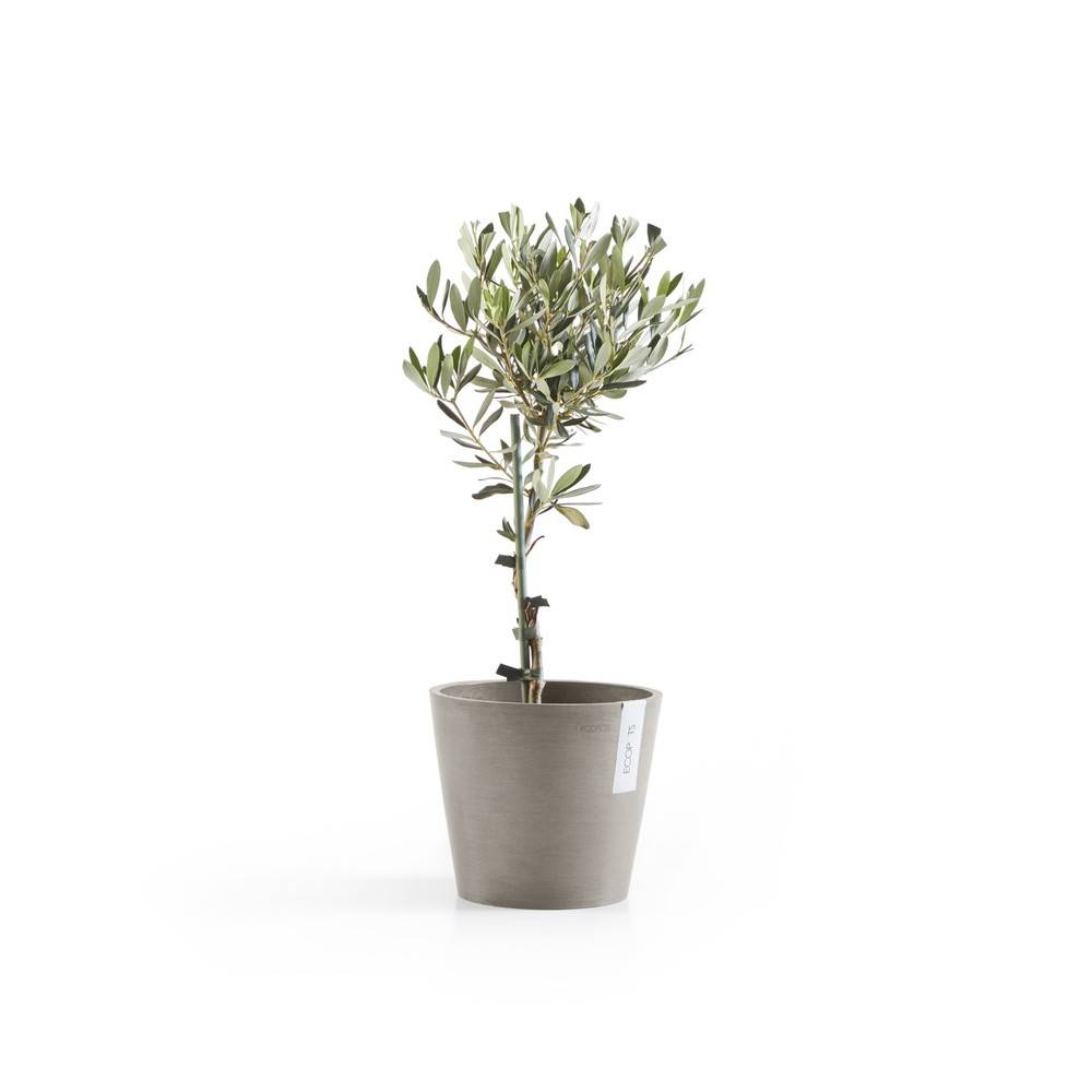 Ecopots - Pot Rond Amsterdam 20 Taupe - Ø 20 x H. 17,5 cm - 4 L ECOPOTS - Imagen 3