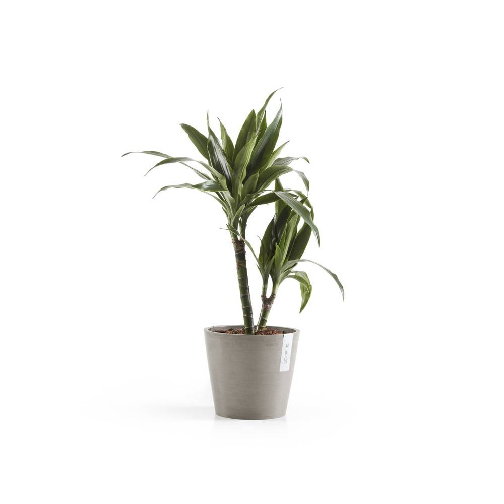 Ecopots - Pot Rond Amsterdam 20 Taupe - Ø 20 x H. 17,5 cm - 4 L ECOPOTS - Imagen 2