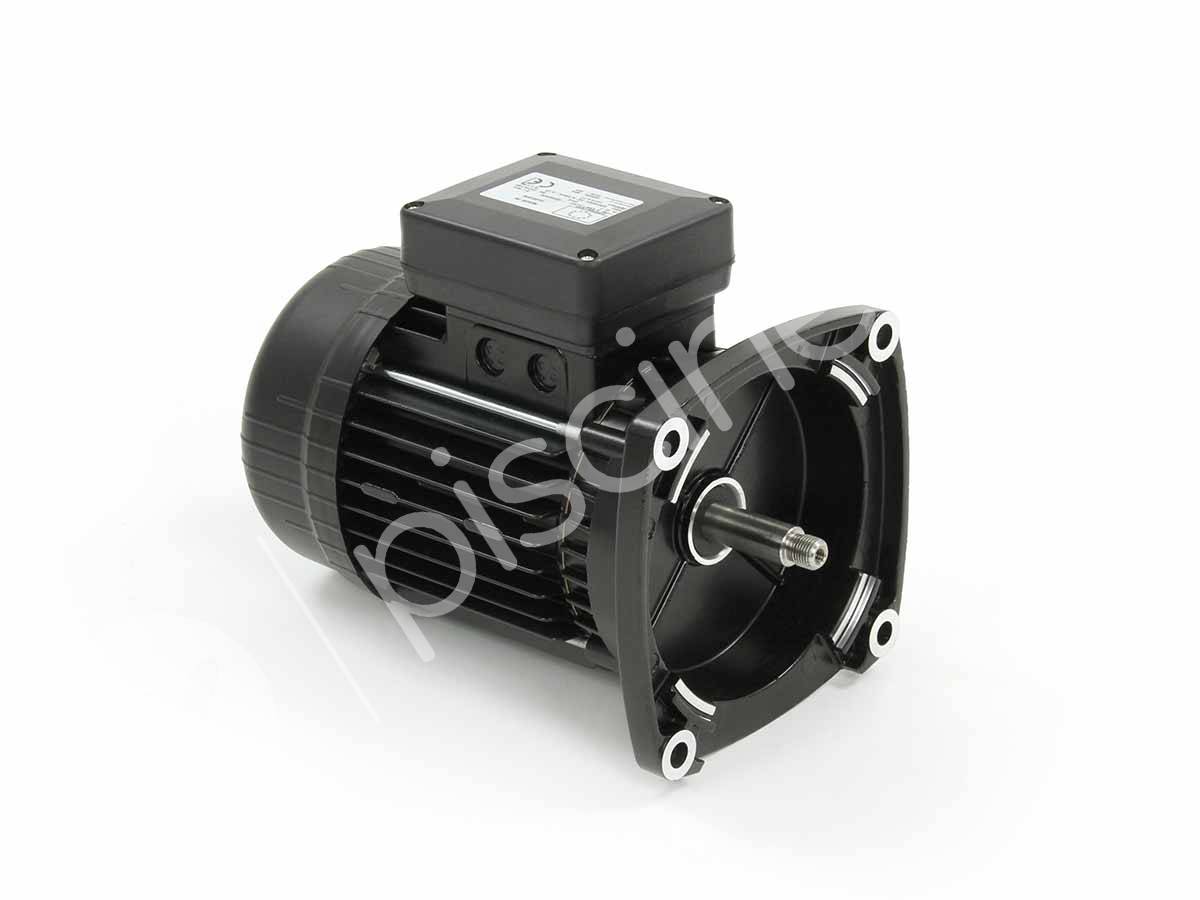 Moteur pour pompes Ultraflow, Whisperflow et Superflo 0,75 CV Tri - Pentair - Imagen 1
