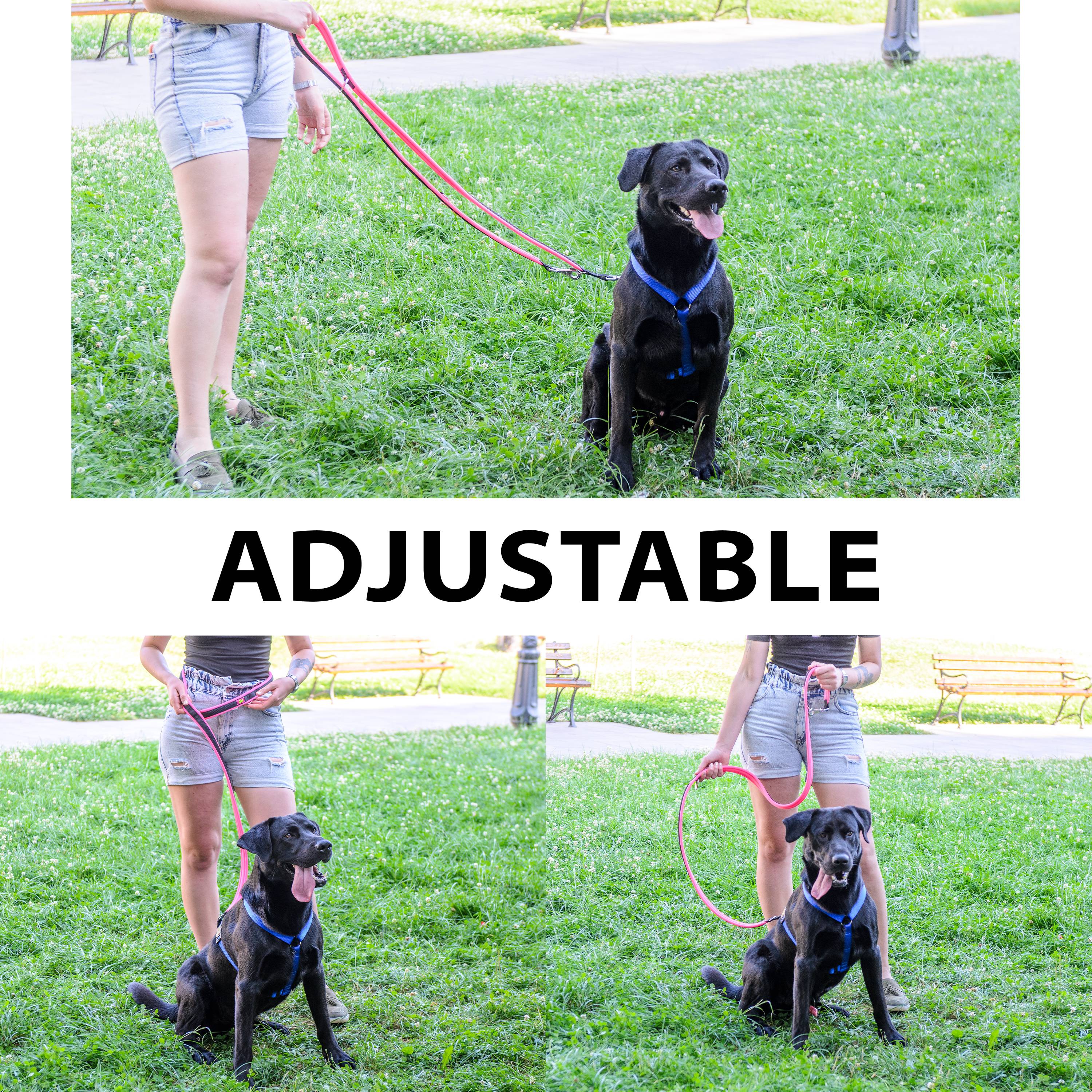 Ferplast - Ferplast Laisse pour chien ERGOFLUO, Laisse de dressage pour petit chien, Poignée Rembourrée, Mousqueton en métal. Longueur réglable. Taille 200 cm, - Imagen 6