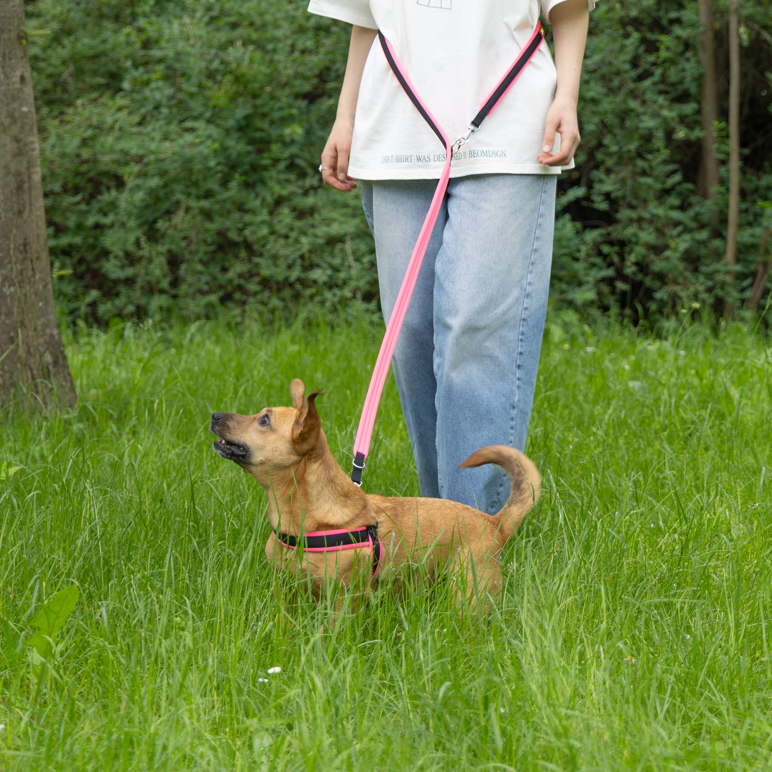 Ferplast - Ferplast Laisse pour chien ERGOFLUO, Laisse de dressage pour petit chien, Poignée Rembourrée, Mousqueton en métal. Longueur réglable. Taille 200 cm, - Imagen 4