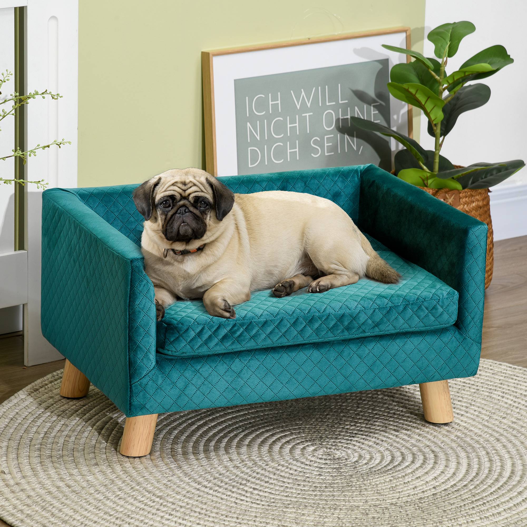 Sans Marque - Canapé chien lit chien divan velours dossier pieds bois coussin jusqu'à 8 kg 64x45x36 cm bleu - Image 3