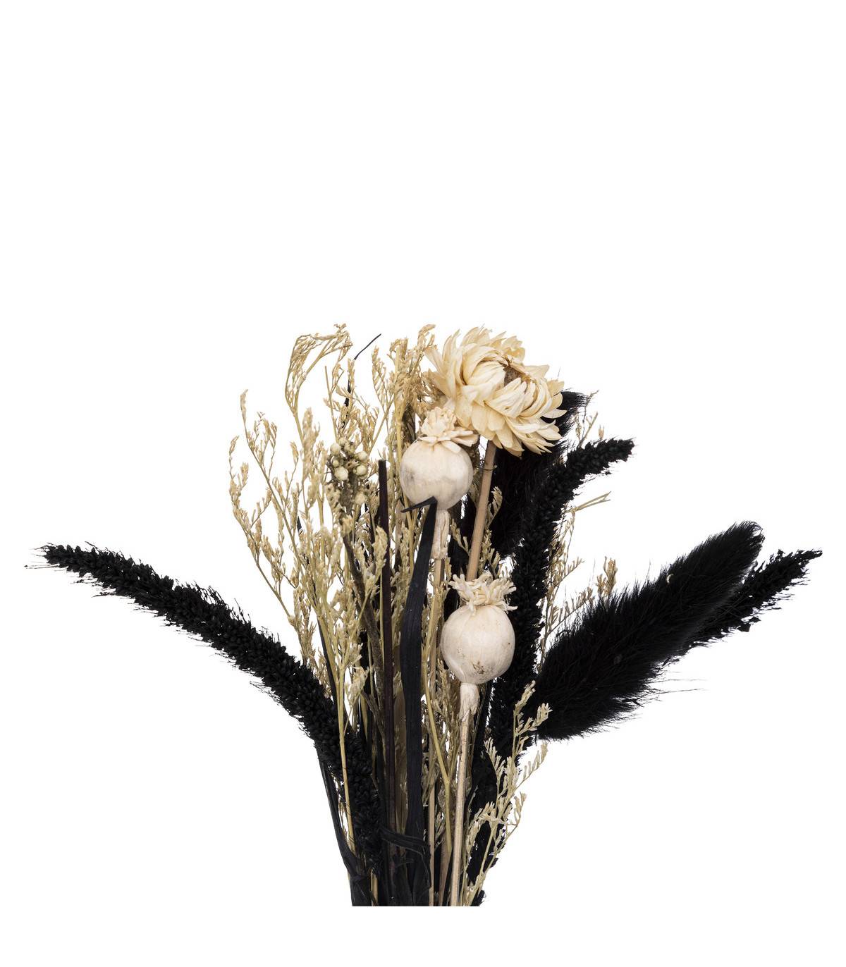 Atmosphera - Composition de Fleurs Séchées Vase en Verre D. 10 x H. 27 cm - Imagen 2