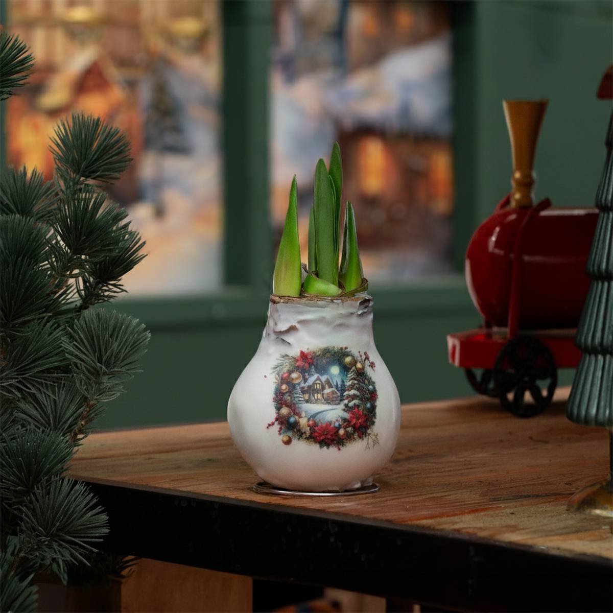 Lot de 2 - Bulbe d'Amaryllis en cire - Maison de Noël - H. 15-25 cm à la livraison - Image 2