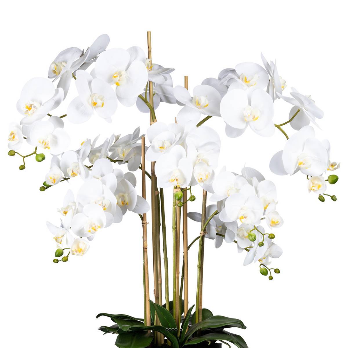 Artificielles - Orchidée factice 7hampes vase résine noir H105cmD75cm touché réelCrème - couleur: Crème - Imagen 3