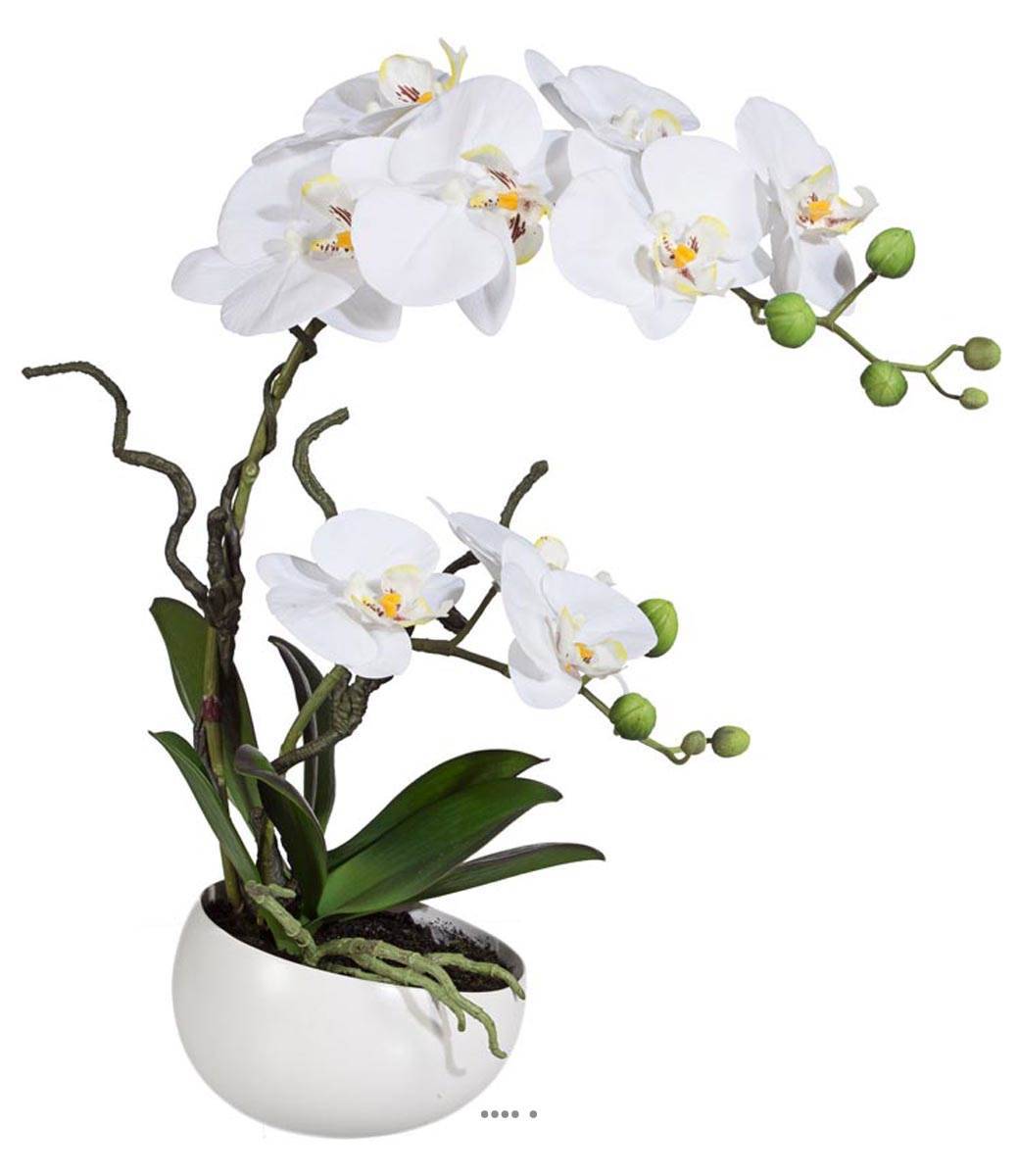 Artificielles - Orchidee factice 2 hampes en coupe ceramique H45cm touché réel Crème - couleur: Crème