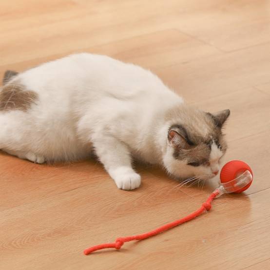 IntiMeg - Jouet pour chat Balle automatique pour chat Jaune IntiMeg - Image 3