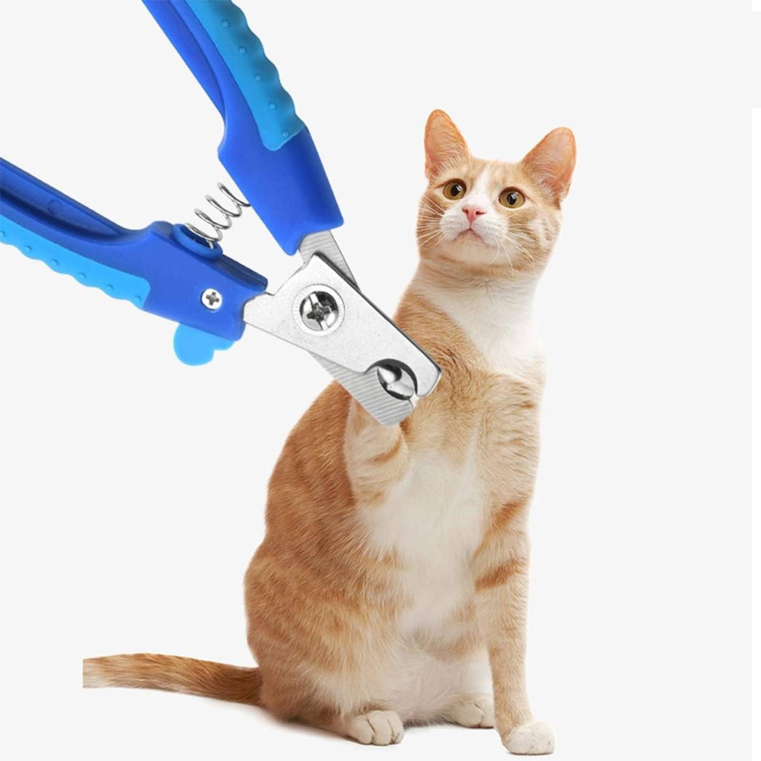 DtopbuyAge - Coupe-Griffes Professionnel Chien/Chat - Acier Inoxydable DtopbuyAge - Image 5