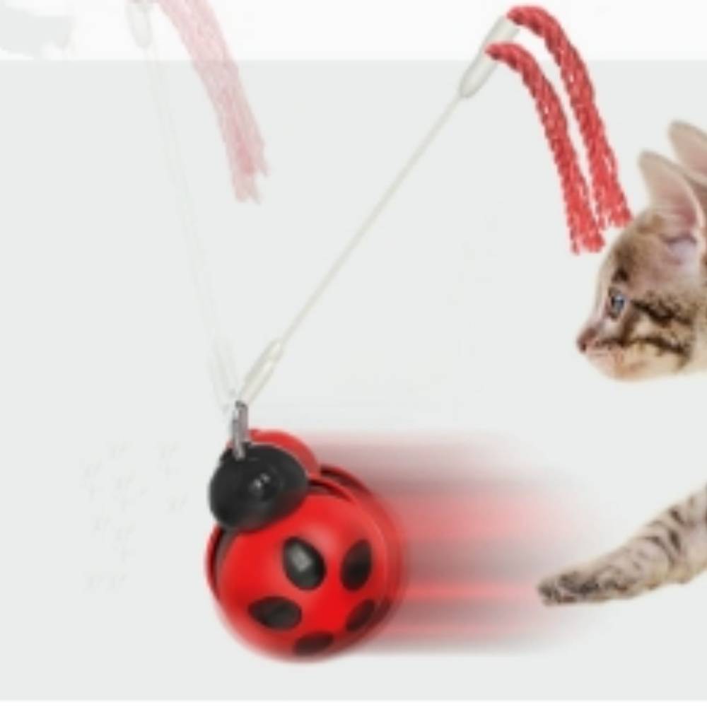 IntiMeg - Jouet pour chat Tumbler Beetle IntiMeg - Image 4
