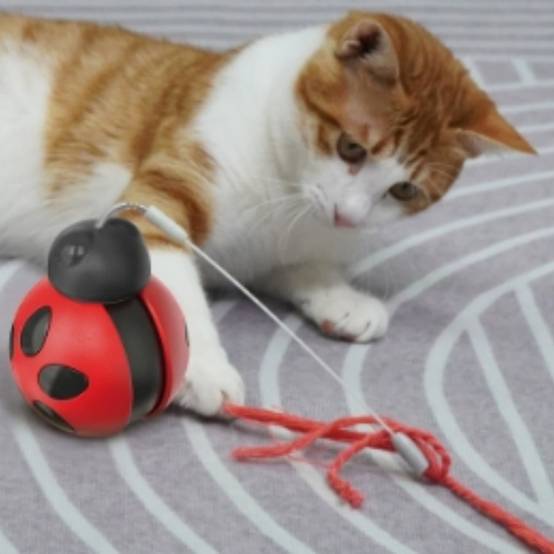 IntiMeg - Jouet pour chat Tumbler Beetle IntiMeg - Image 5