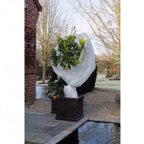Voile d'hivernage blanc 30g/m², Dimensions 1 x 10 m - Imagen 1