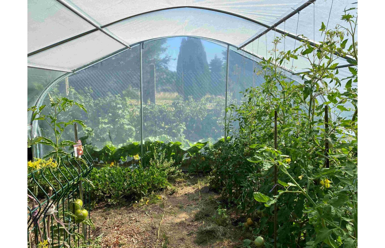 Serre de jardin avec aérations 5 x 4,50 m - Image 6