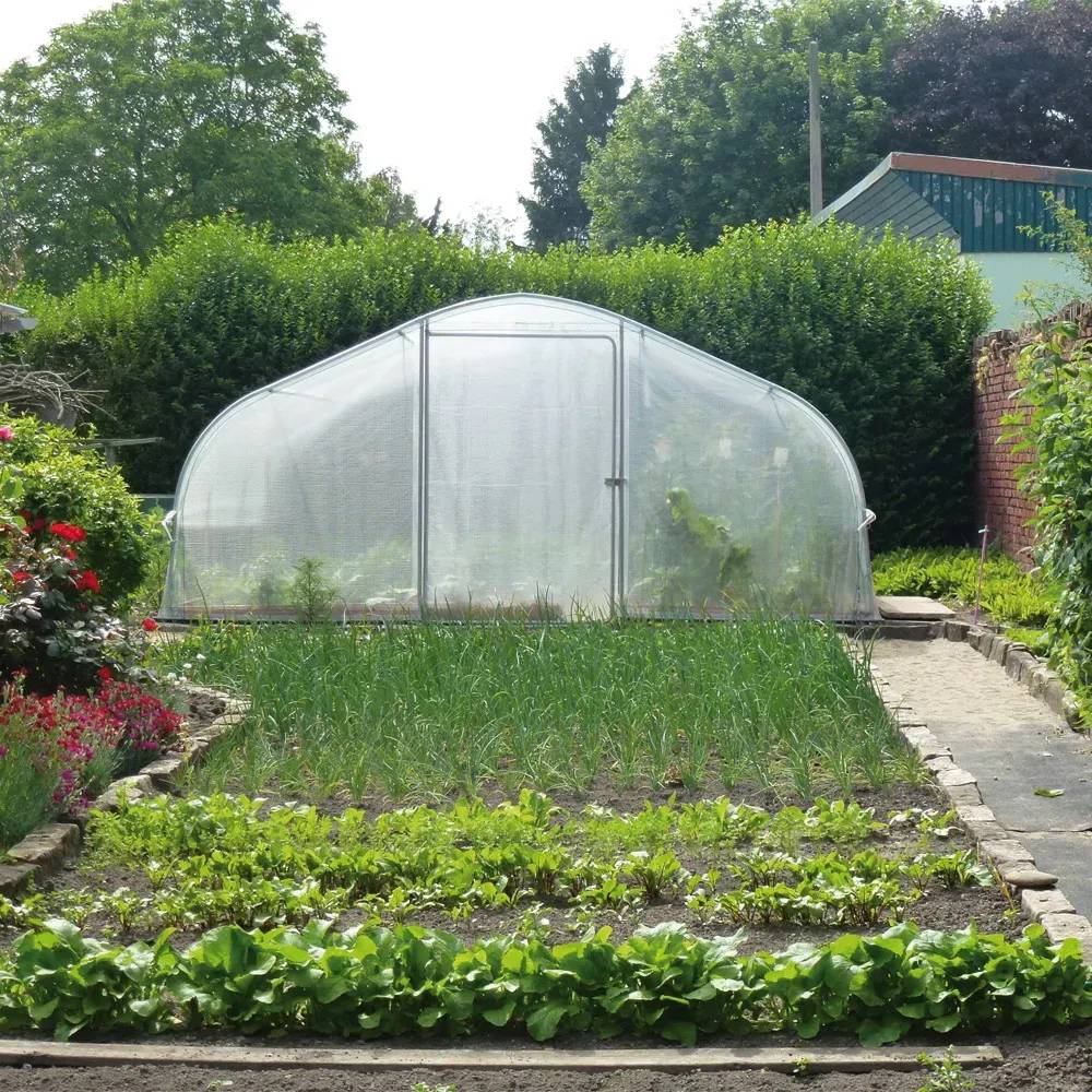 Serre de jardin avec aérations 5 x 4,50 m - Image 2
