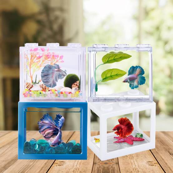 Aquarium Betta Miniature en Acrylique Transparent DtopbuyAge - Image 4
