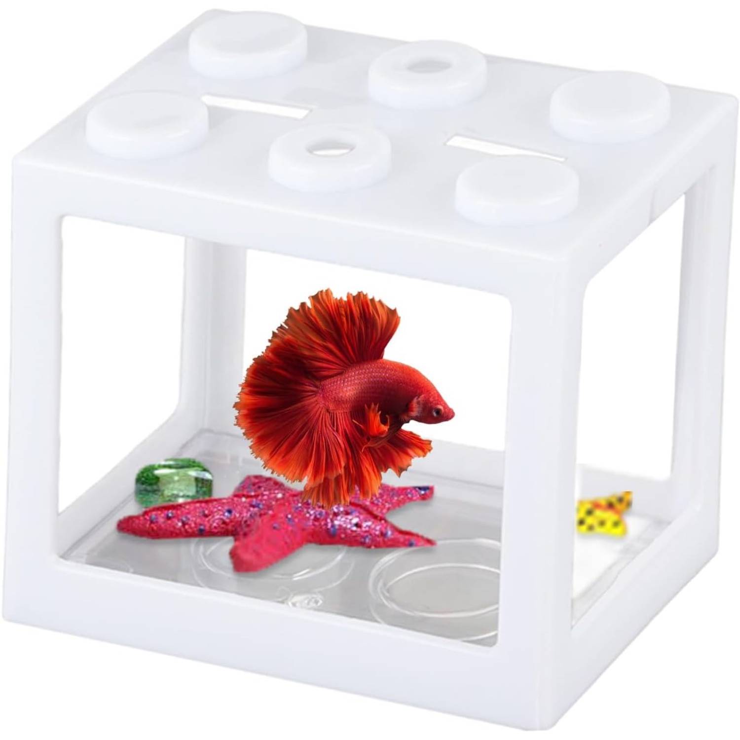DtopbuyAge - Aquarium Betta Miniature en Acrylique Transparent DtopbuyAge