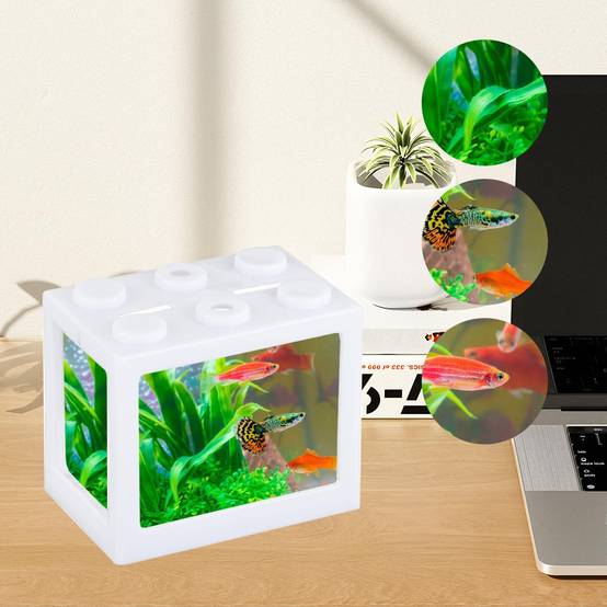 Aquarium Betta Miniature en Acrylique Transparent DtopbuyAge - Image 2
