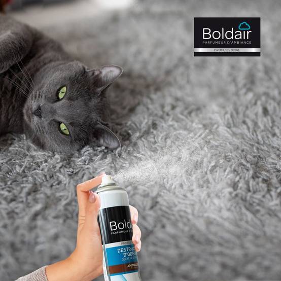 Destructeur d'odeurs animales 500 ml BOLDAIR - Image 6
