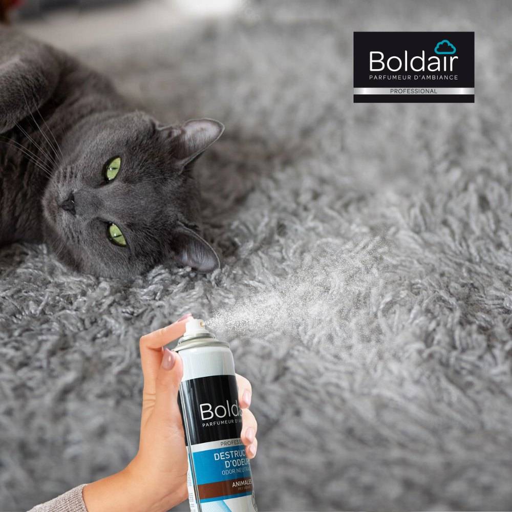 Destructeur d'odeurs animales 500 ml BOLDAIR - Image 6