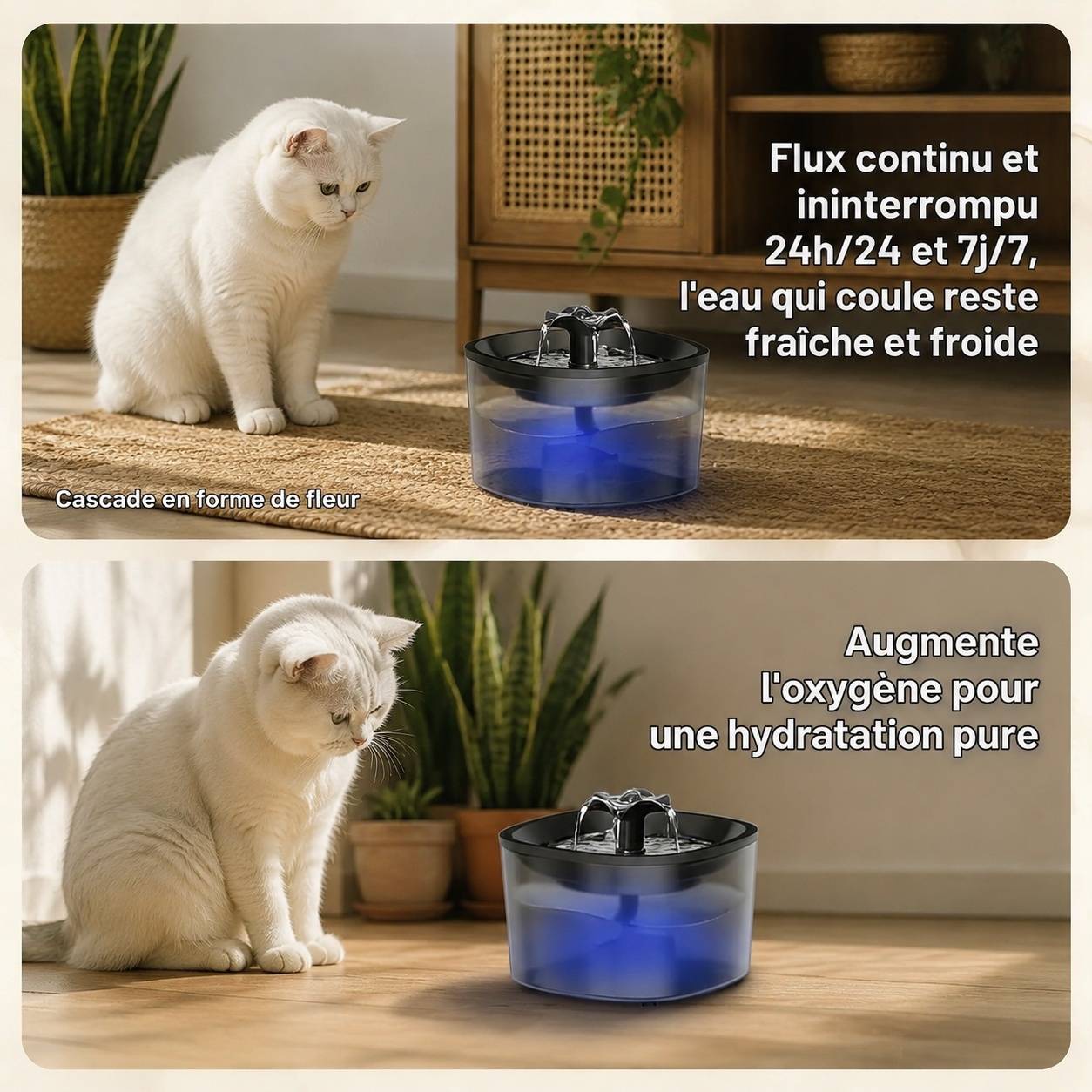 Distributeur Automatique Croquettes 4l + Fontaine Eau 2.5l Enregistrement Vocal Nettoyage Facile - Image 5