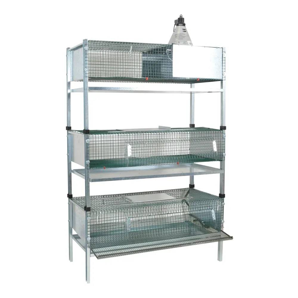 Lot de 3 cages d'élevage cailles - Image 1