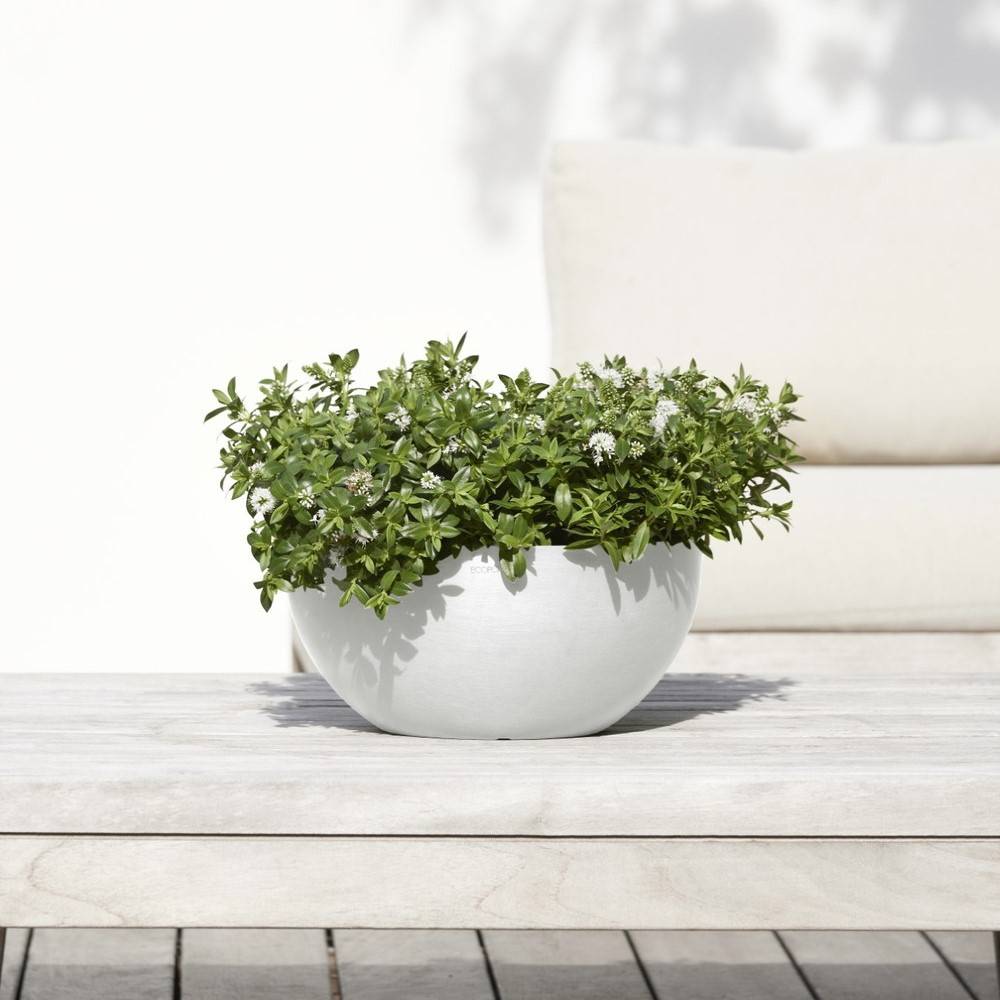 Ecopots - Pot Rond Brussels 30 Blanc Pur - Ø 30 x H. 14 cm - 6,5 L ECOPOTS - Imagen 5