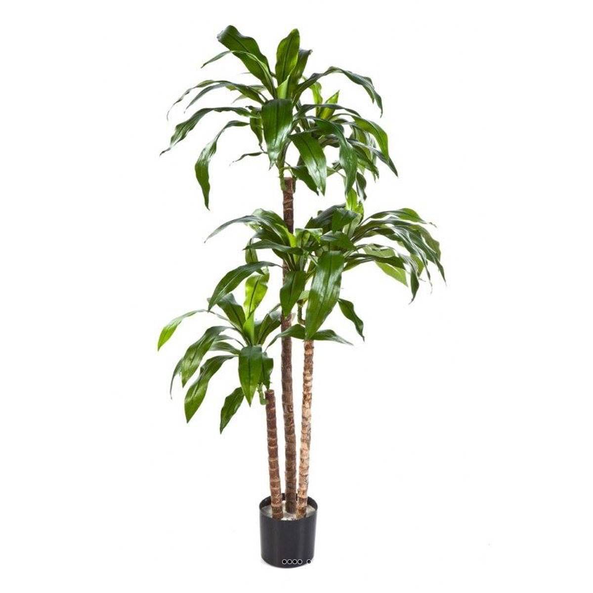 Artificielles - Dracaena artificiel Fragrans 3 troncs en pot H 120 cm Vert D 60 cm - dimhaut: H 120 cm - couleur: Vert