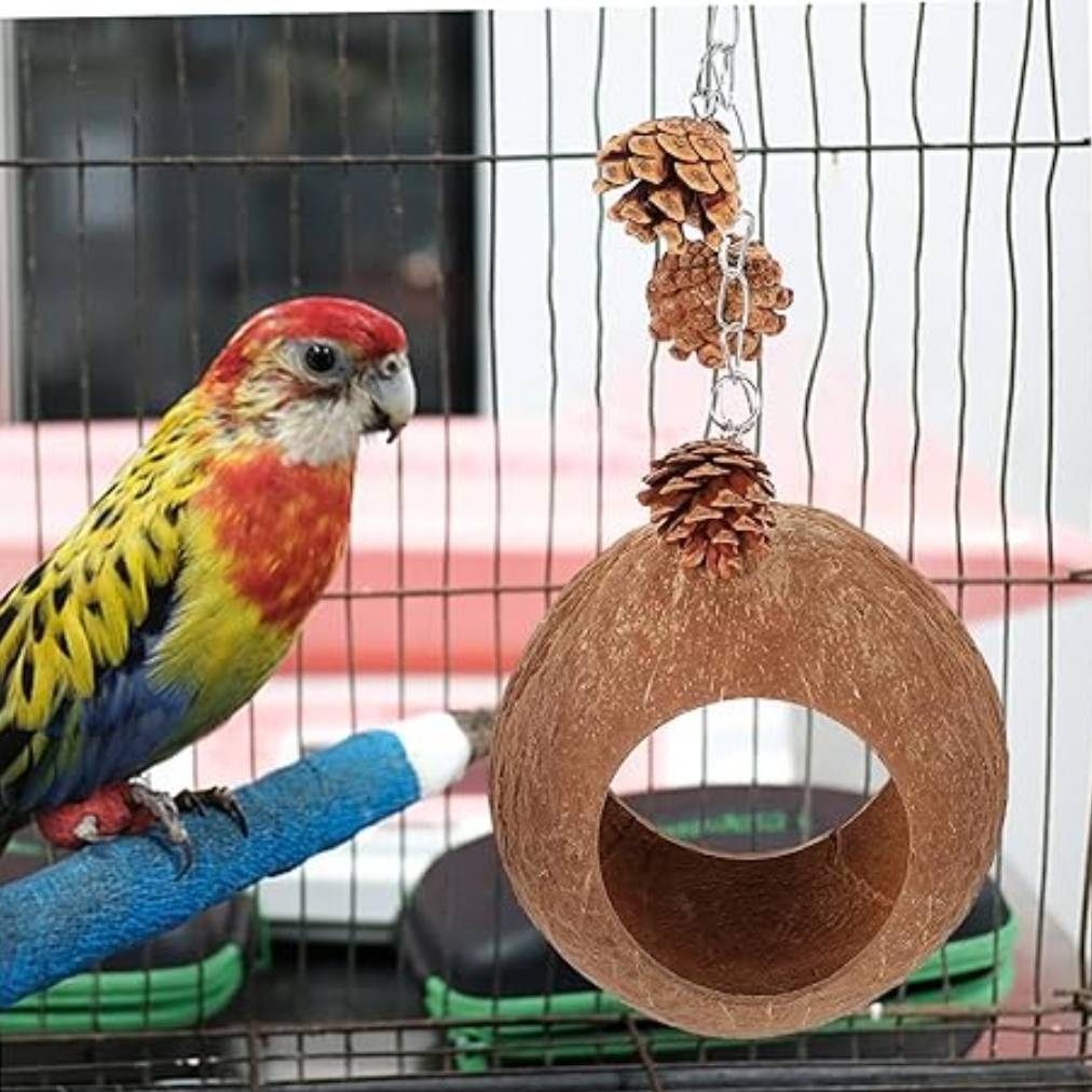 Nid Suspendu 100% Naturel en Coco pour Perroquets. Balançoire et Jouet de Confort pour Perruches et Oiseaux DtopbuyAge - Image 3