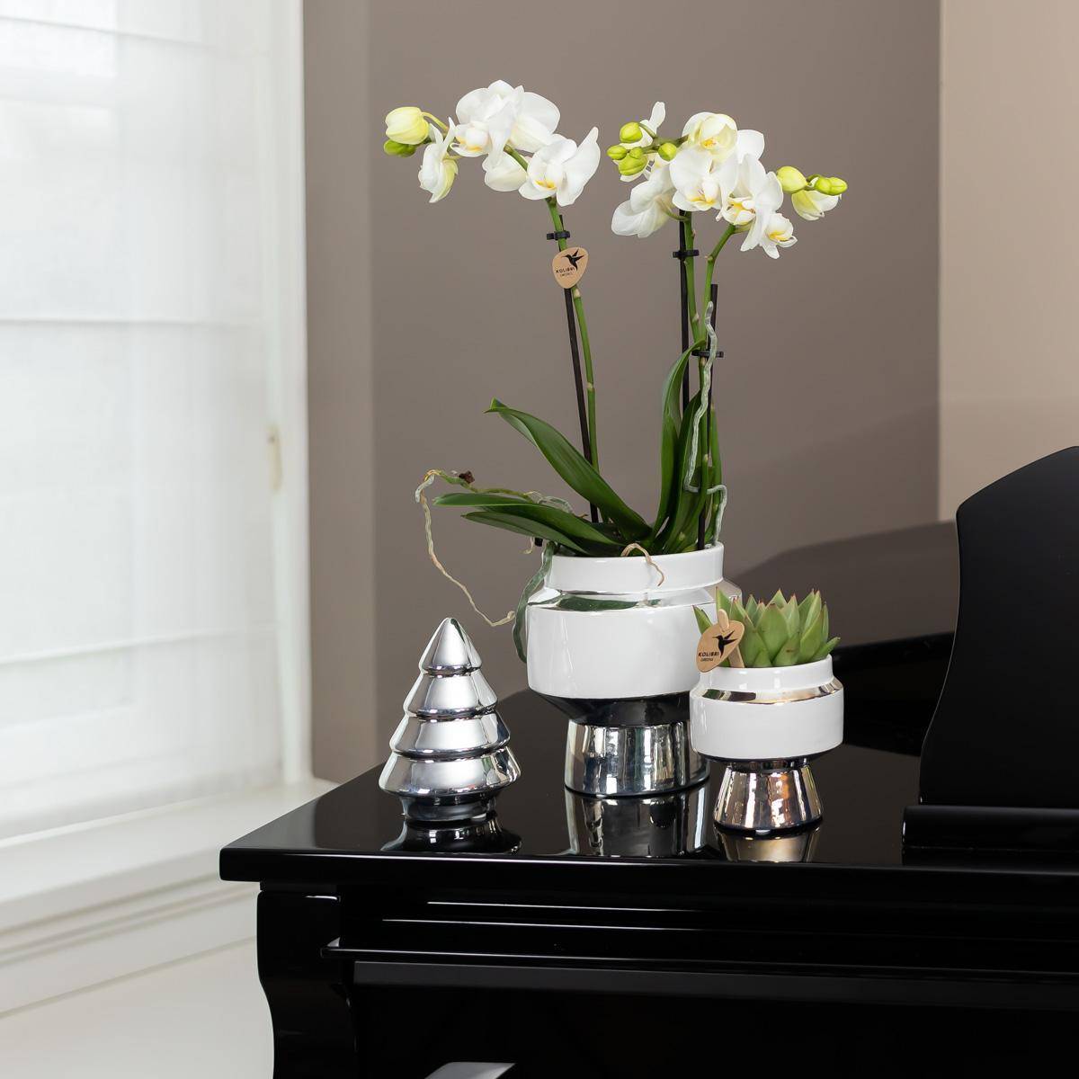 La Green Touch - Orchidée Amabilis Blanche et son pot- La Green Touch Chic argenté - Hauteur 35cm - Imagen 4