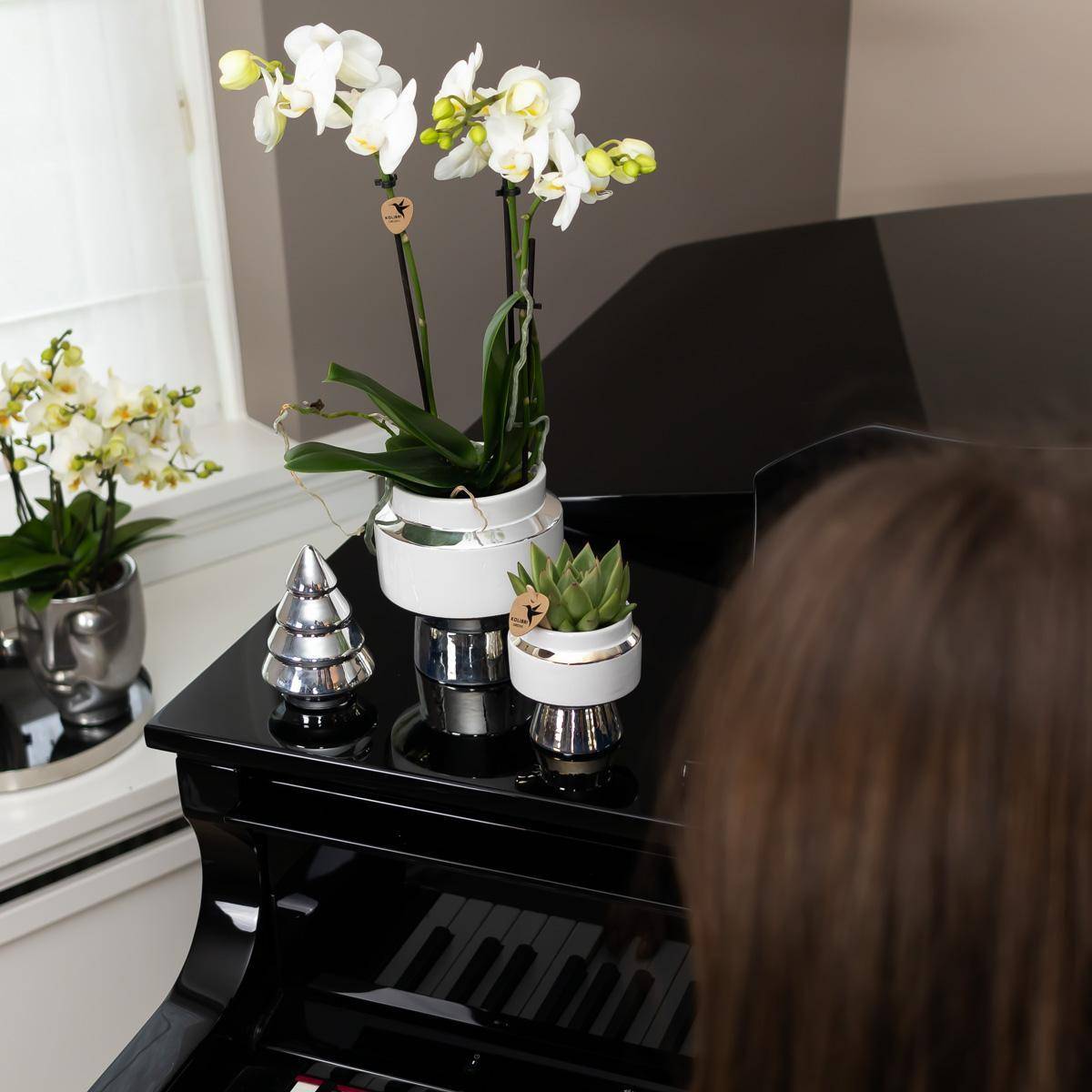 La Green Touch - Orchidée Amabilis Blanche et son pot- La Green Touch Chic argenté - Hauteur 35cm - Imagen 5
