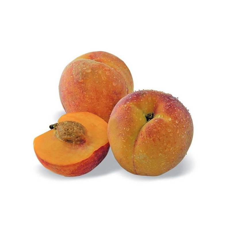 Pêcher nain Pêche de poche - Nains de jardins® - Bon rendement -  - De 1,50 m à 2,00 m - Imagen 1