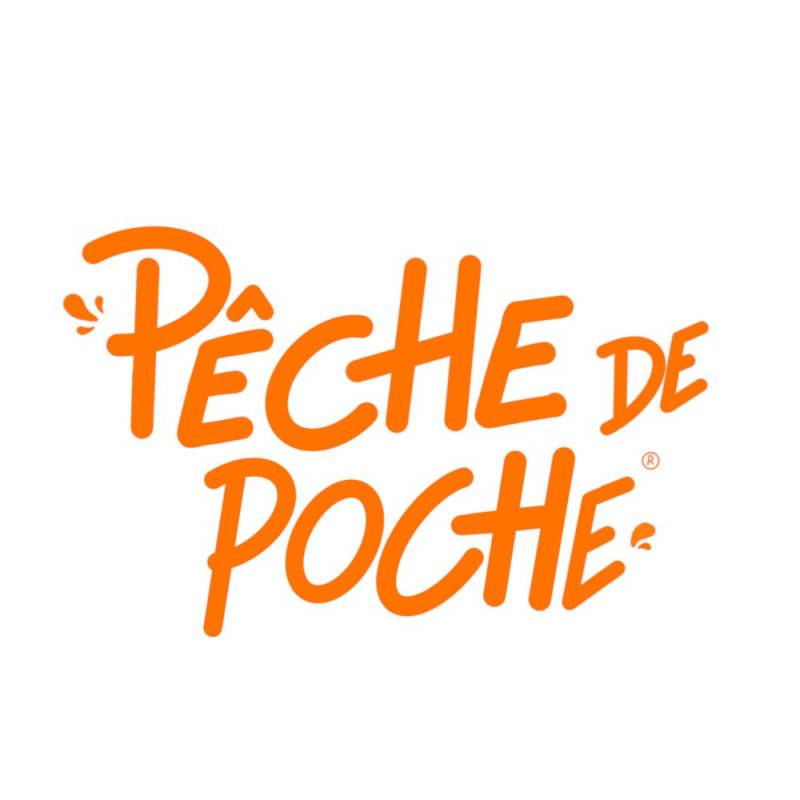 Pêcher nain Pêche de poche - Nains de jardins® - Bon rendement -  - De 1,50 m à 2,00 m - Imagen 2