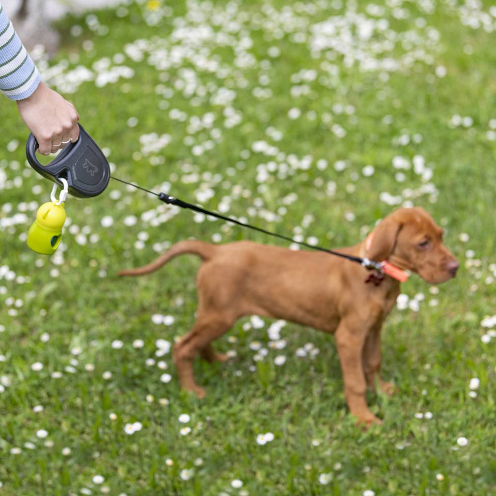 Ferplast - Ferplast Laisse Chien Enrouleur FLIPPY ONE, Laisse pour Chiens de Taille Moyenne jusqu'à 20 Kg. Cordon Extensible max 5 m. Bouton unique pour - Imagen 4