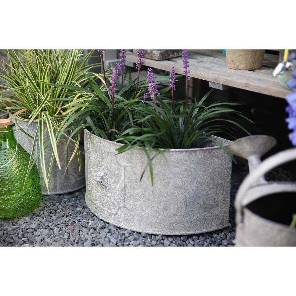 Esschert Design - Pot de fleurs demi-rond Lion (Lot de 2) - Imagen 2