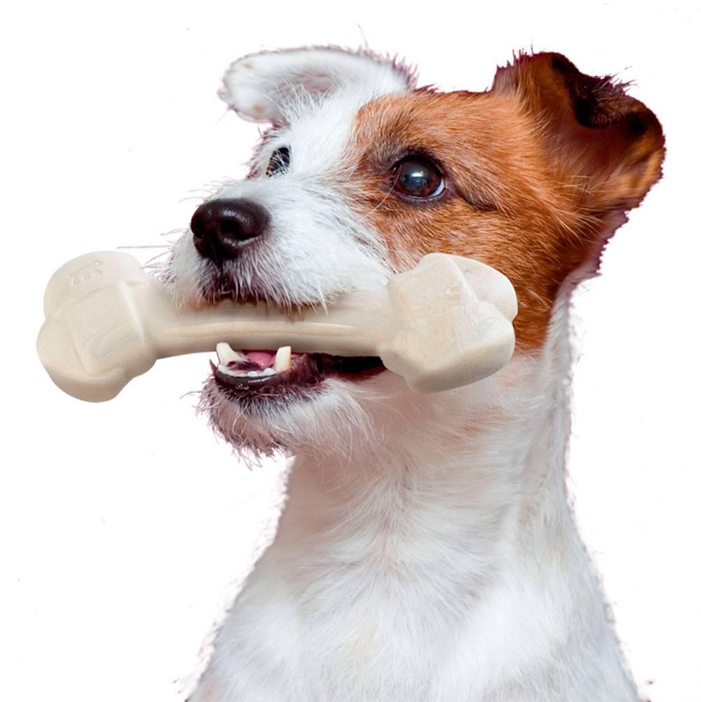 Ferplast - Ferplast GOODBITE NATURAL M jouet os pour l'hygiène dentaire, saveur de poulet,  chien moyen (8-16 Kg), naturel, 2 pièces de 70g - Imagen 3