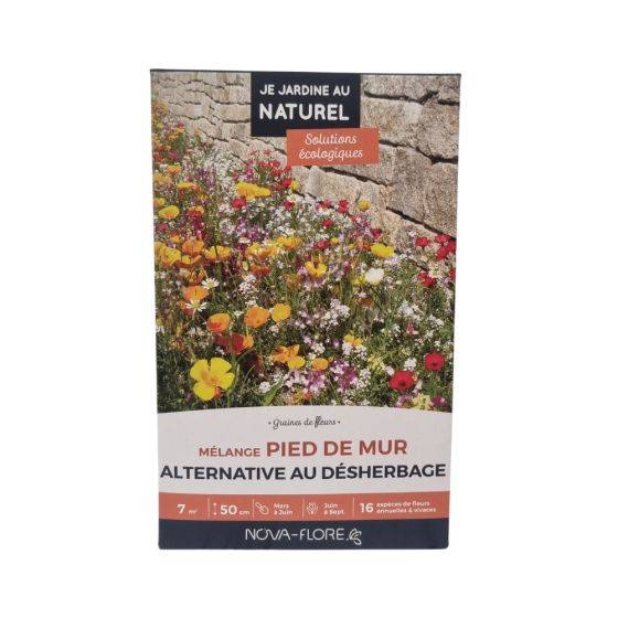 Novaflore - Mélange pied de mur : alternative au désherbage 7 m2 - Imagen 1