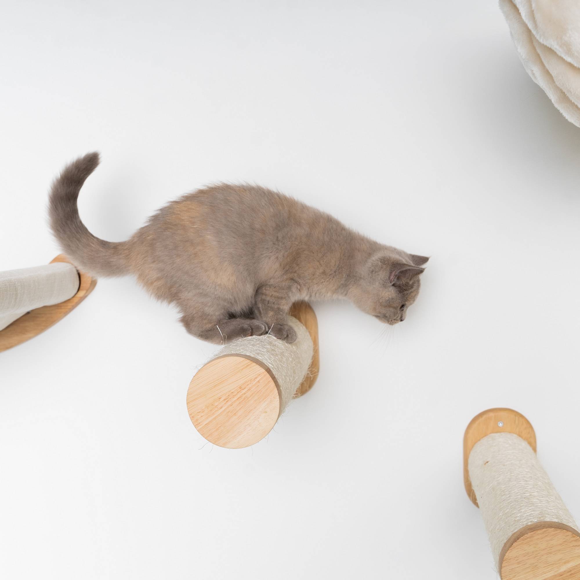 Rhr Concepts Bv - Mur d’escalade pour chat - Ensemble de poteaux muraux en sisal (beige) - RHR Concepts BV - Imagen 4