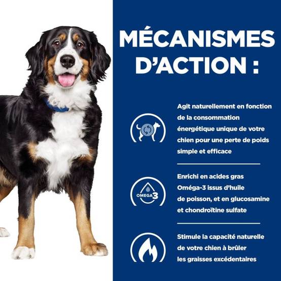 CROQUETTES CHIEN ADULT PRESCRIPTION DIETS J/D METABOLIC + MOBILITY - HILL'S 12 kg - Image 5