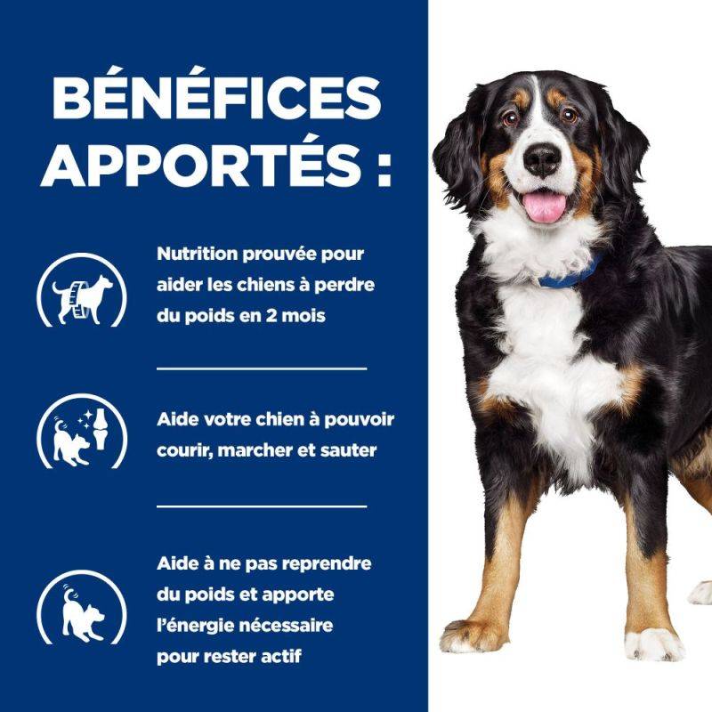 CROQUETTES CHIEN ADULT PRESCRIPTION DIETS J/D METABOLIC + MOBILITY - HILL'S 12 kg - Image 4
