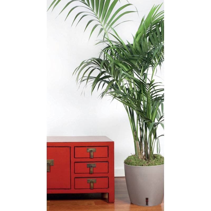 Riviera - Riviera Pot Rond Eva New En Plastique - O 46 Cm - 49 L - Taupe - Imagen 3