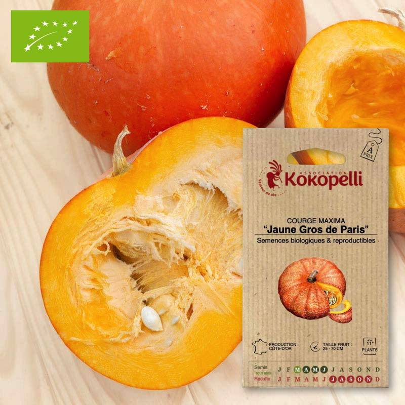Sachet de graines bio à semer - Courge Maxima Jaune Gros de Paris- Association Kokopelli