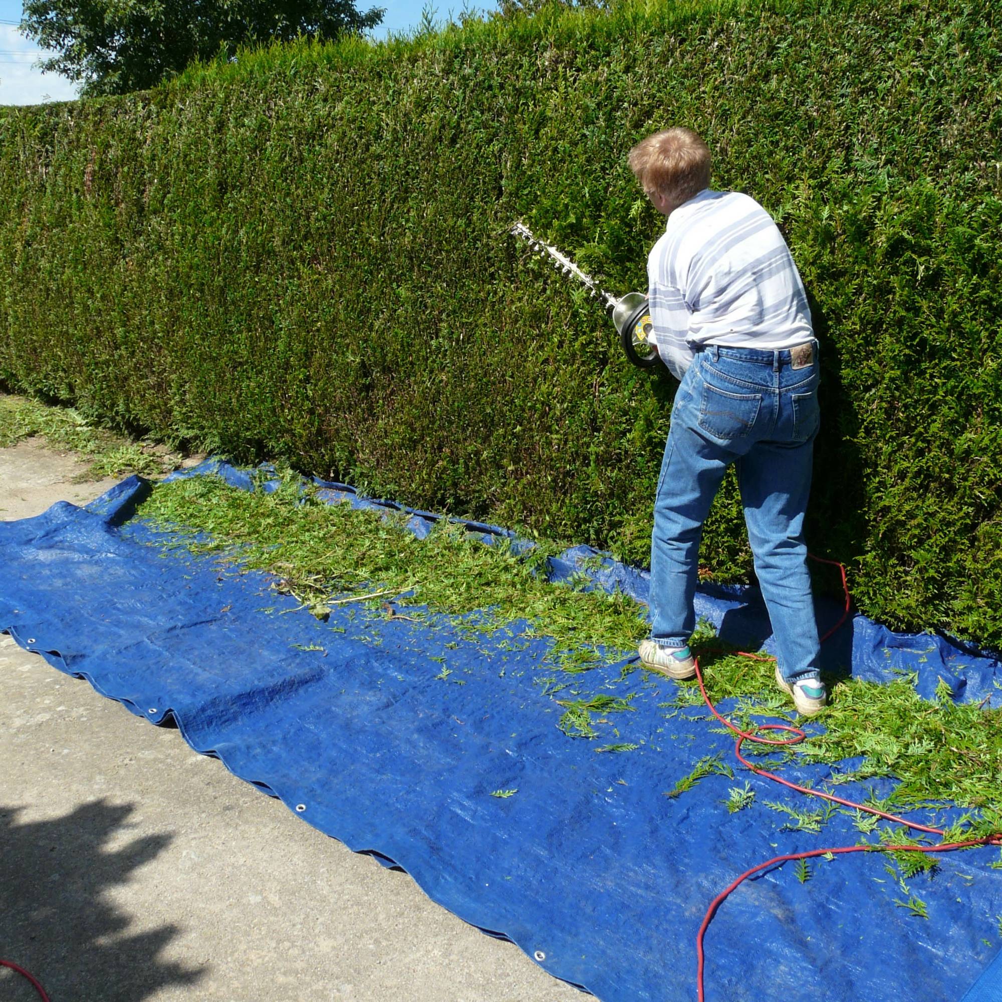 Ecd-Germany - Bâche de Protection Imperméable à l'Eau avec Oeillets - 2x3m 6m² 180g/m²- Polyéthylène PE Bleu - Résistant à la Moisissure - Imagen 7