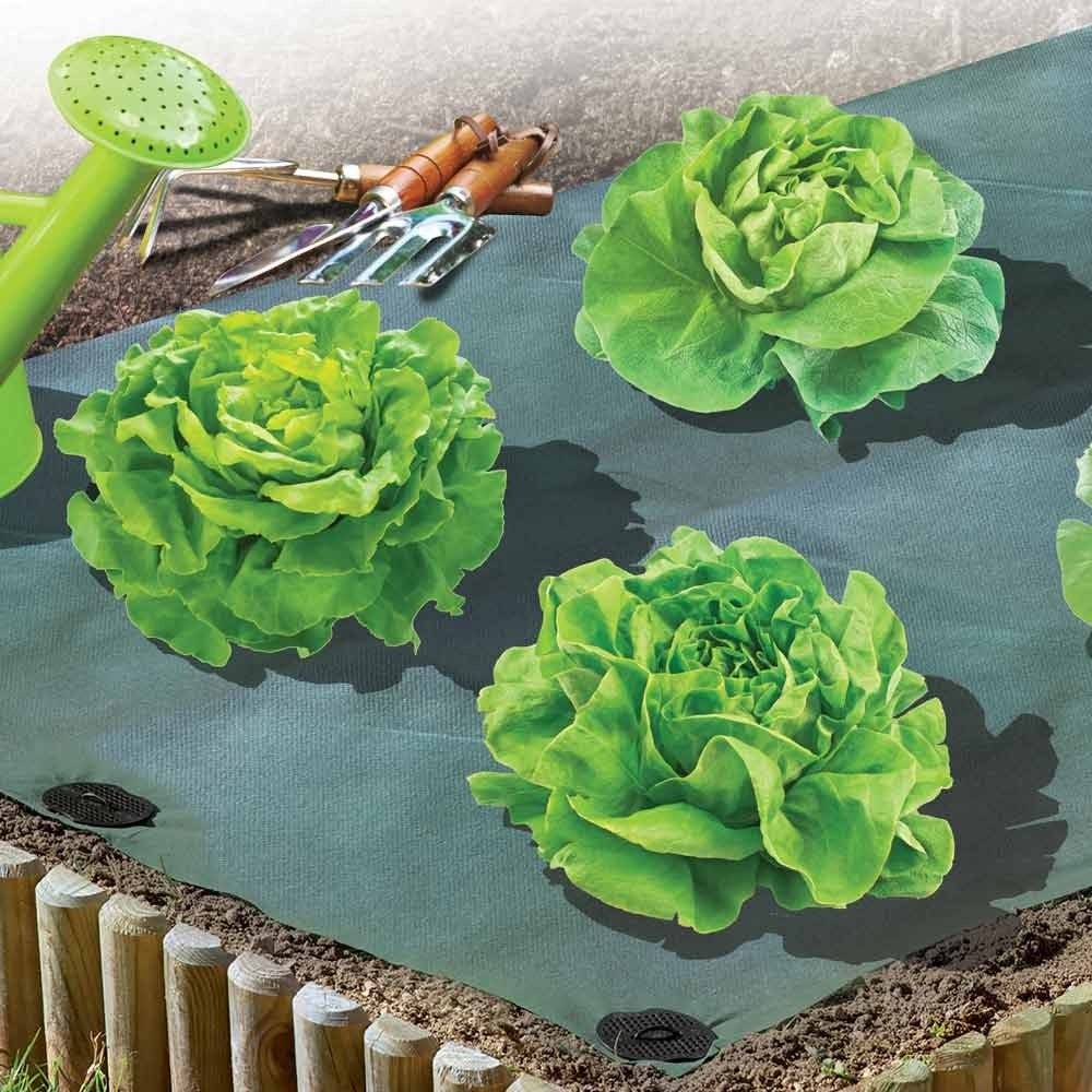 Toile de paillage saisonnière 15 mètres - Image 2